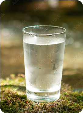 Whole Home Water Filter Echo Pure